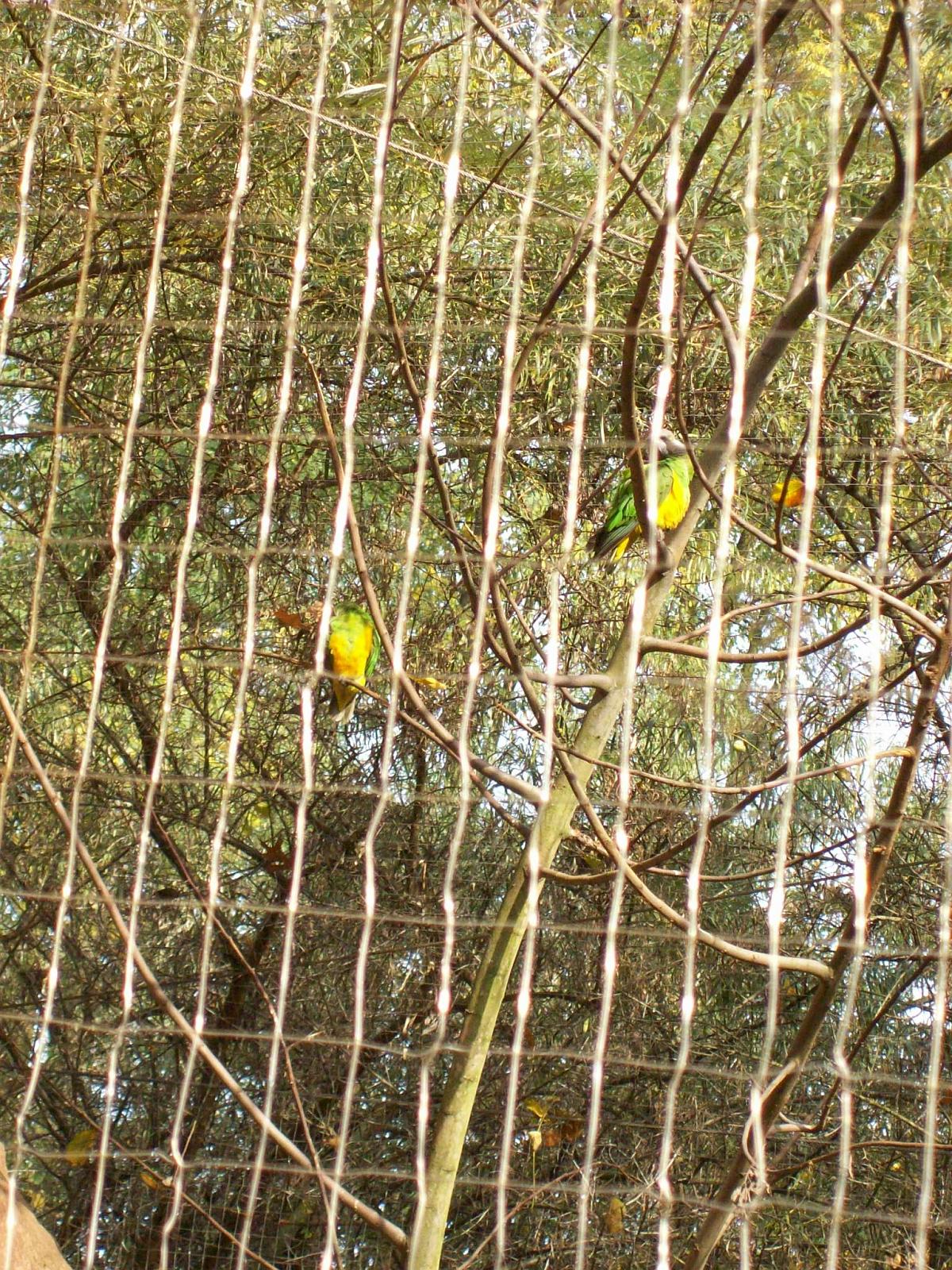 Zoom 18.10.2008-060.jpg